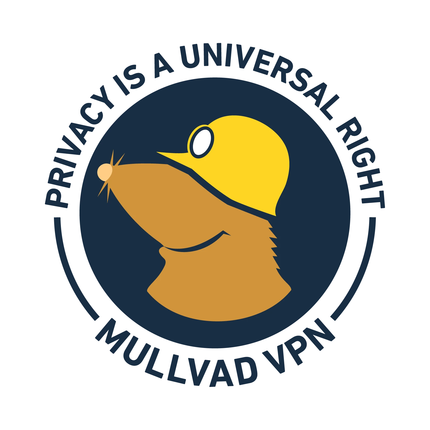 Mullvad VPN遭遇了搜索令，但客户数据未被泄露